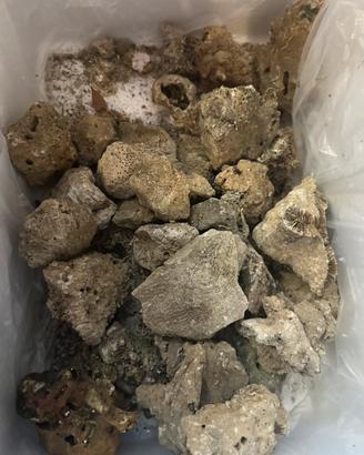 Rocce acquario marino