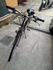 bicicletta da uomo