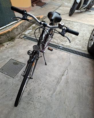 bicicletta da uomo