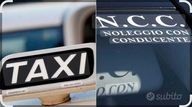 Licenza Taxi Comune di Roma
