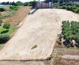 TER. AGRICOLO A BRACCIANO