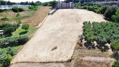 TER. AGRICOLO A BRACCIANO