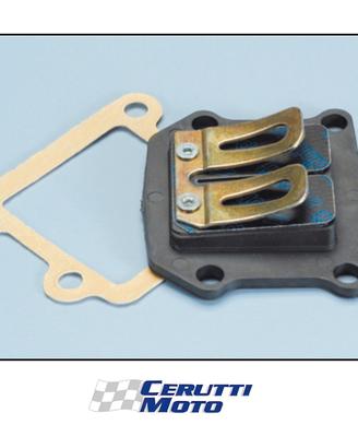 Valvola pacco lamellare Polini in carbonio minarel