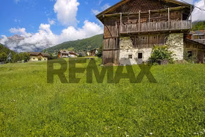 Rustico - Rabbi