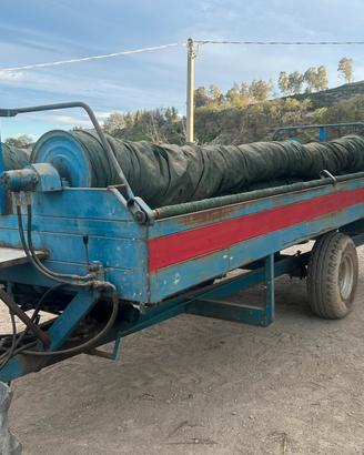 Carrello olive