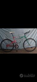 Bianchi Ragno Pholcus ATB 26".RARA Personalizzata