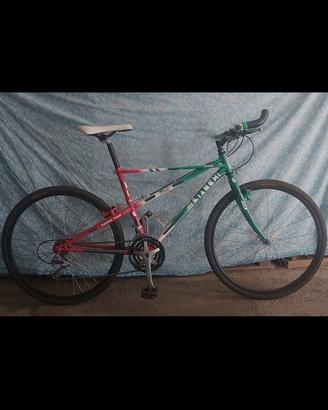 Bianchi Ragno Pholcus ATB 26".RARA Personalizzata