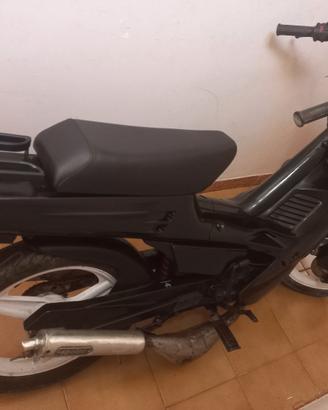 motron gto max