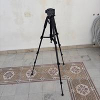 Treppiedi mactrem pt59