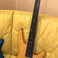 Ibanez Musician MC2924