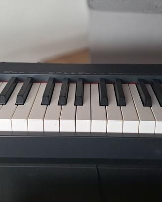 Tastiera casio