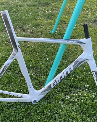 Telaio Giant propel