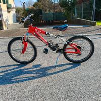 Bicicletta Bambino 20 pollici