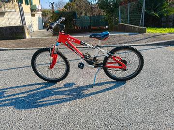 Bicicletta Bambino 20 pollici