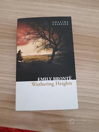 cime tempestose (whutering heights) 