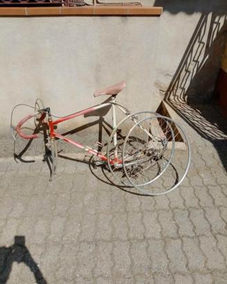 bicicletta