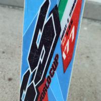 Sci Nordica Dobermann GS WC 177 FIS