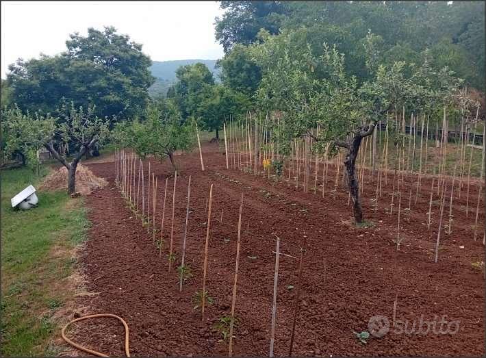 Terreno Agricolo a Norma - Vista 3