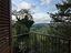 Immagine 21
