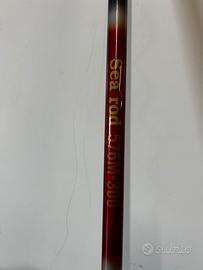 Canna da pesca