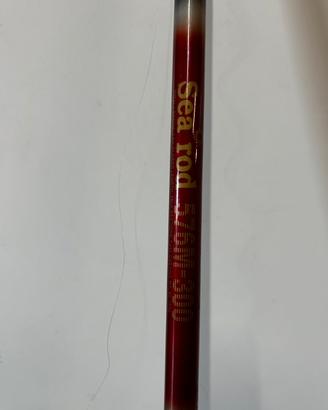 Canna da pesca