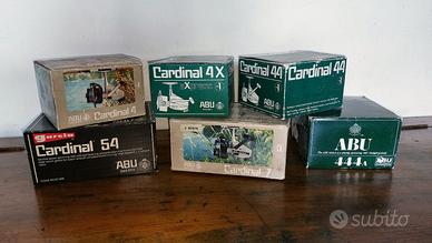 Abu Cardinal Mulinelli in Scatola