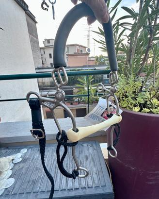 Morso Nathe Delicato su Bocca e Lingua Cavallo