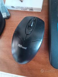 Segretaria da remoto