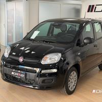 FIAT Panda 3ª serie Panda 1.0 FireFly S&S Hybr...