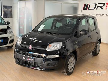 FIAT Panda 3ª serie Panda 1.0 FireFly S&S Hybr...
