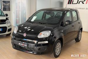 FIAT Panda 3ª serie Panda 1.0 FireFly S&S Hybr...