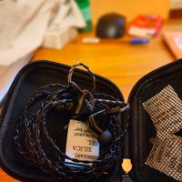 Iem Ziigaat Lush hifi 