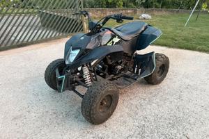 Quad 250 ncx