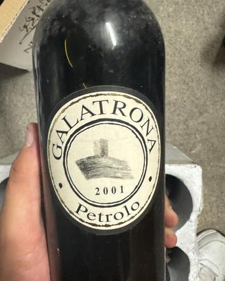 Vino pregiato PETROLO GALATRONA 2001