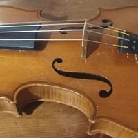 Violino