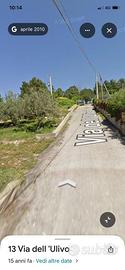 Terreno di uliveto