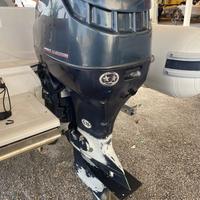 Evinrude 115, Mercury 20 - motori usati in STOCK