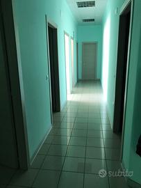 Azienda capannone laboratorio per carni, e alimen