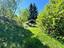 Immagine 16