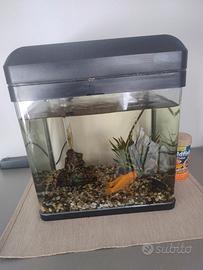 Acquario Billy 16 litri 