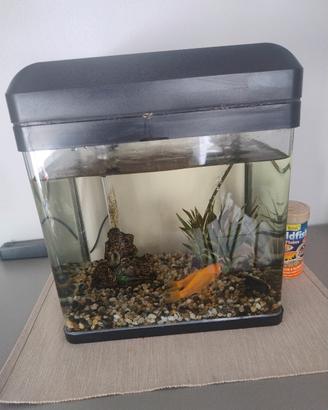 Acquario Billy 16 litri 