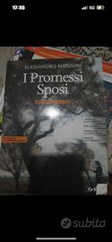 i promessi sposi