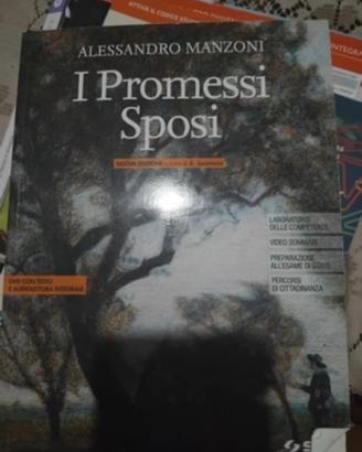 i promessi sposi