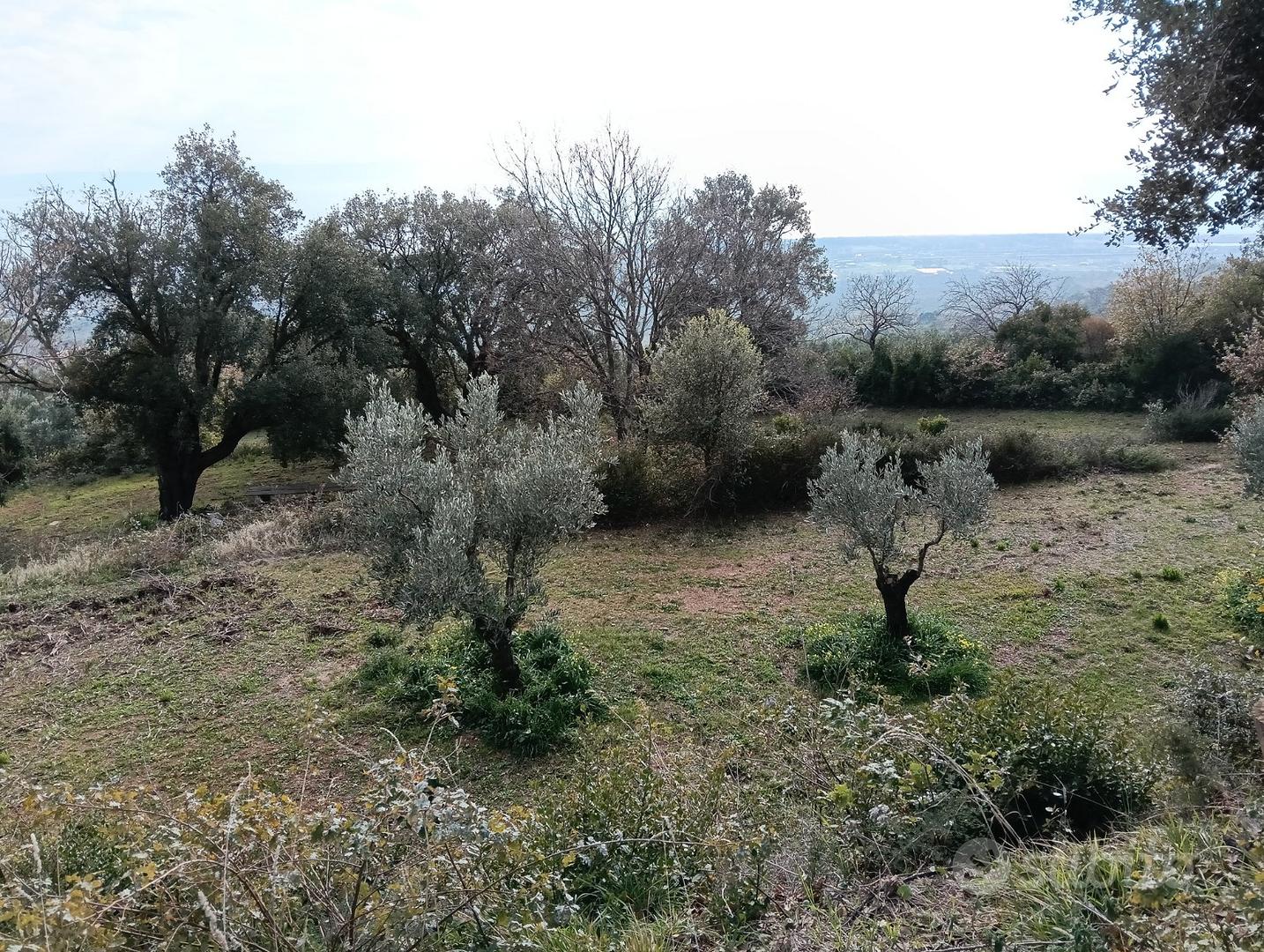 Terreno comune gizzeria cz - Vista 4