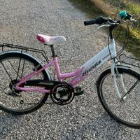 Bicicletta Breda ruota 24