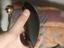Immagine 3