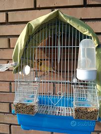 Chi è interessato gabbia per uccelli