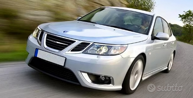 Autista privato /direzionale /consegnatario