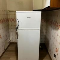 Frigorifero  SANGIORGIO con congelatore