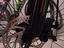 Immagine 6